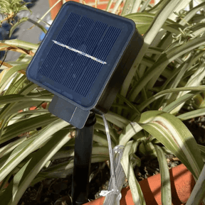 Pisca Pisca Solar LED com Fio de Cobre